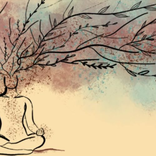La meditación y las terapias holísticas en micentrolasrozas.es te ayudan a florecer desde adentro.